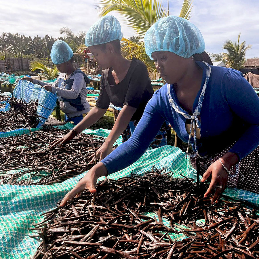 Madagascar Vanilla Pods – Ethically Sourced & Farm-Fresh Flavor by Prema Vanilla at www.brixbailey.com