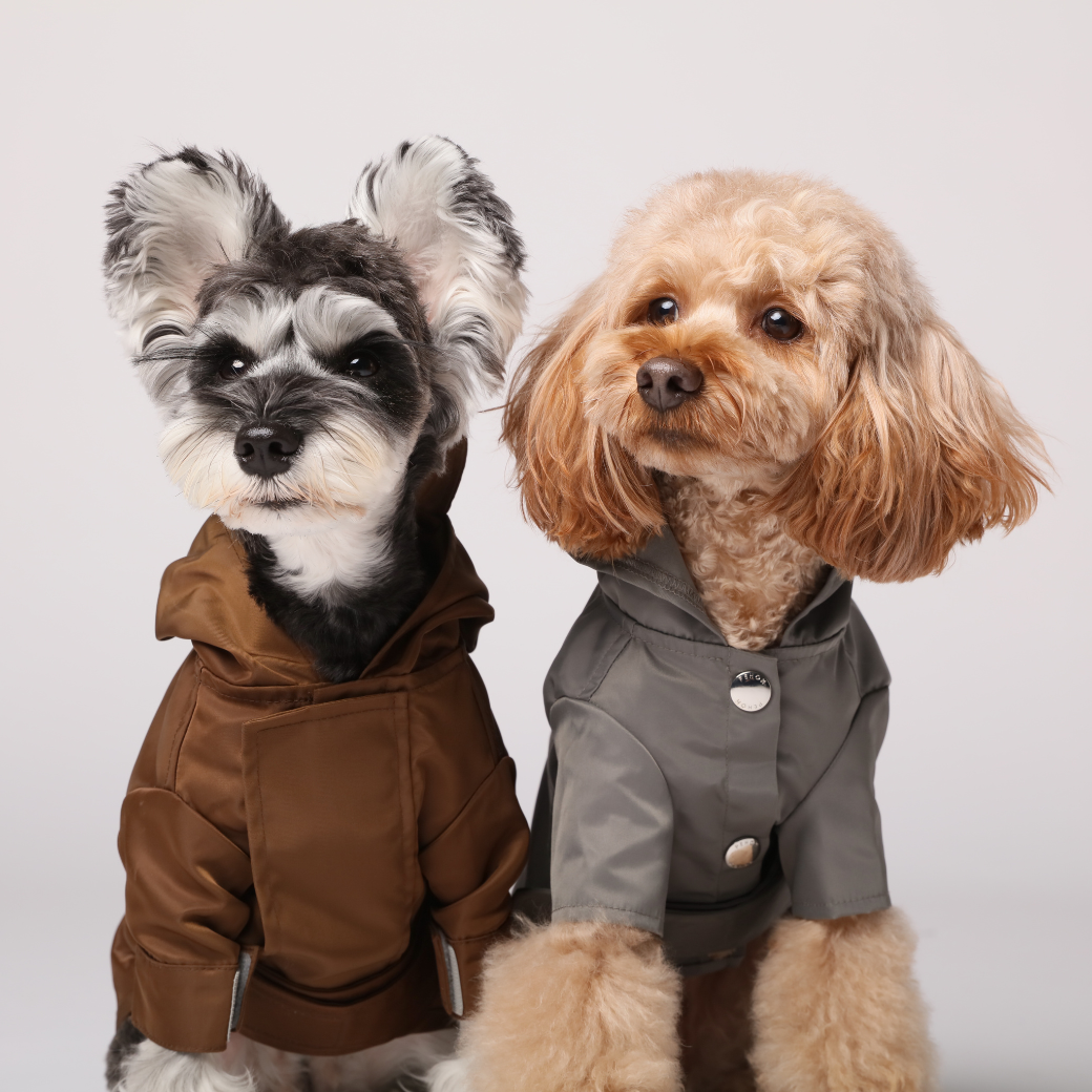 Bowery Raincoat in Gray