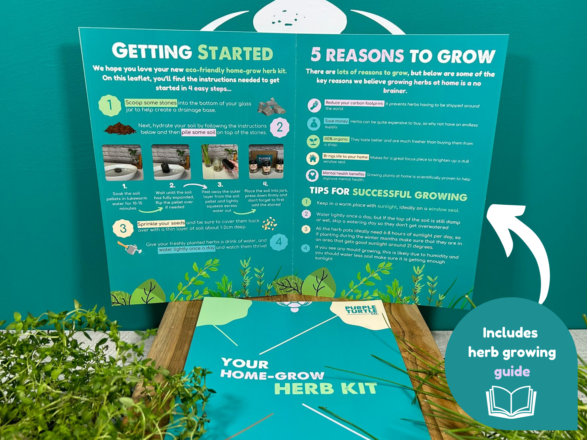 Grow Your Own Herbs Gift Set