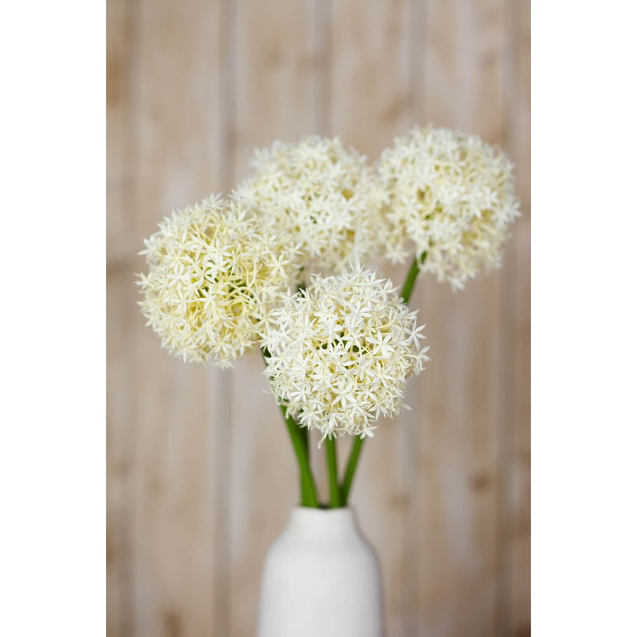 Lifelike cream allium stem, 80cm tall with slender green stem, perfect for farmhouse or minimalist decor by Sostter at brixbailey.com