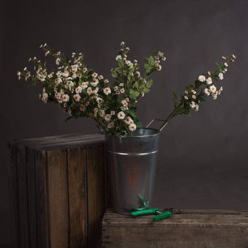 Lifelike cream artificial rose spray with realistic petals, perfect for floral arrangements, 74cm tall, soft neutral hue  

**  
- **Keywords:** cream artificial rose spray, realistic petals, floral arrangements, 74cm, soft neutral hue  
- **Clear description:** Visually describes the product's appearance and key features  
- **SEO & accessibility optimized:** Concise yet detailed for both search engines and screen readers by Sostter at brixbailey.com