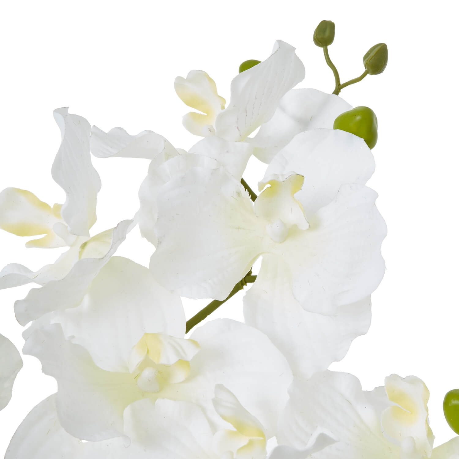 Lifelike white Vanda orchid faux arrangement in ceramic pot with green foliage by RoomLondon at brixbailey.com