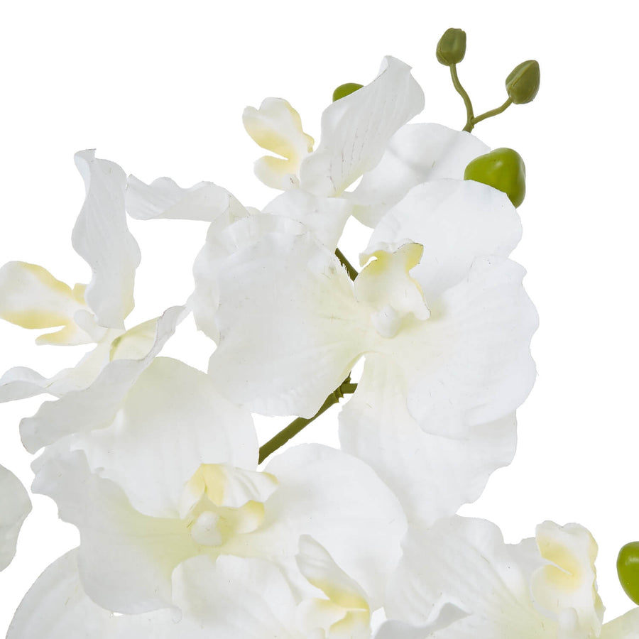 Lifelike white Vanda orchid faux arrangement in ceramic pot with green foliage by Sostter at brixbailey.com