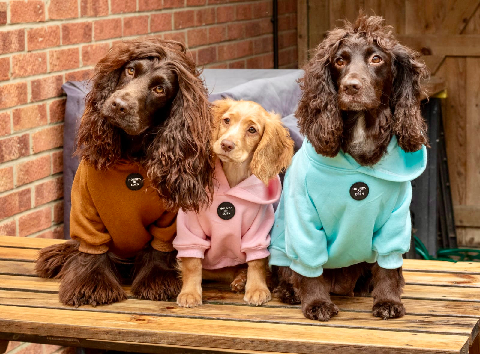 Dog Hoodie - Black