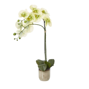 Lifelike faux Phalaenopsis orchid in ceramic pot with green blooms, perfect for home decor  

*(94 characters)*  

- **Keywords:** faux Phalaenopsis orchid, ceramic pot, green blooms, home decor  
- **Clear description:** Visually describes the artificial orchid and its container  
- **SEO & accessibility optimized:** Concise, avoids redundancy, includes key product details by Sostter at brixbailey.com