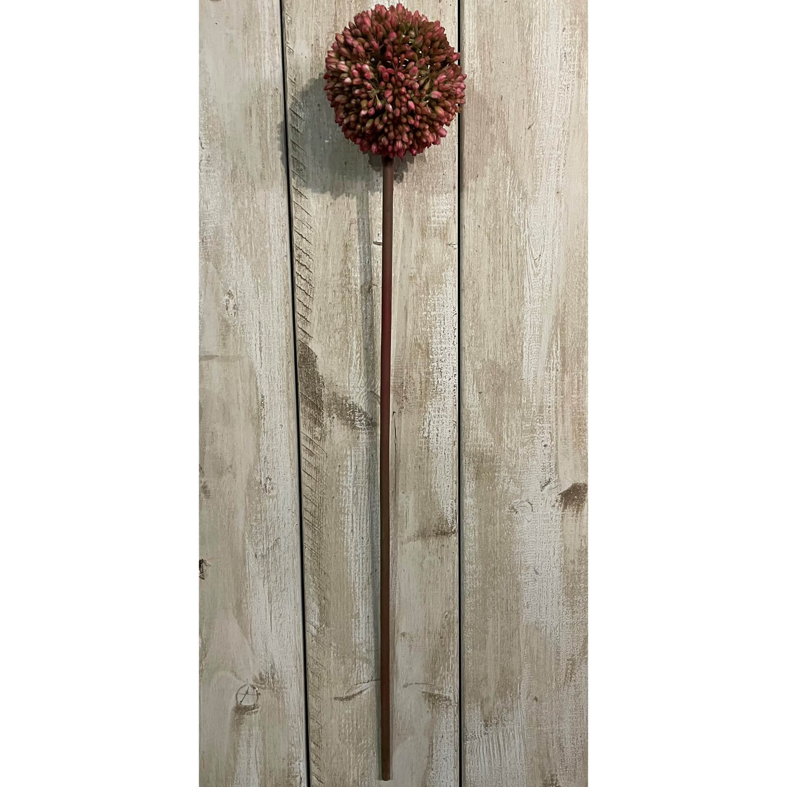 Lifelike pink Allium faux floral stems, 63cm tall, for everlasting botanical home decor  

*(97 characters)*  

âœ… **Keywords:** pink Allium, faux floral stems, botanical home decor  
âœ… **Clear description:** Describes color, type, size, and purpose  
âœ… **Optimized:** Natural keyword inclusion while remaining screen-reader friendly by RoomLondon at brixbailey.com