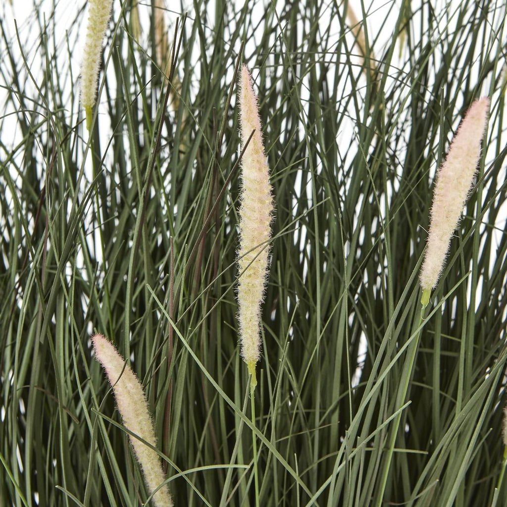 Lifelike faux Fountain Grass in natural green, 81cm tall with feathery plumes, displayed in sleek black pot. by Sostter at brixbailey.com