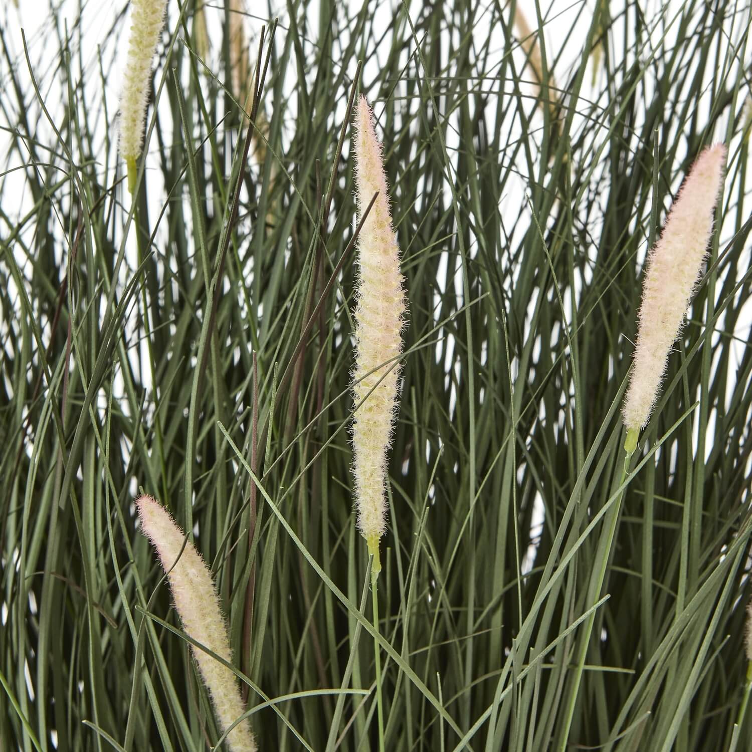 Lifelike faux Fountain Grass in natural green, 81cm tall with feathery plumes, displayed in sleek black pot. by Sostter at brixbailey.com
