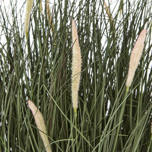 Lifelike faux Fountain Grass in natural green, 81cm tall with feathery plumes, displayed in sleek black pot. by Sostter at brixbailey.com