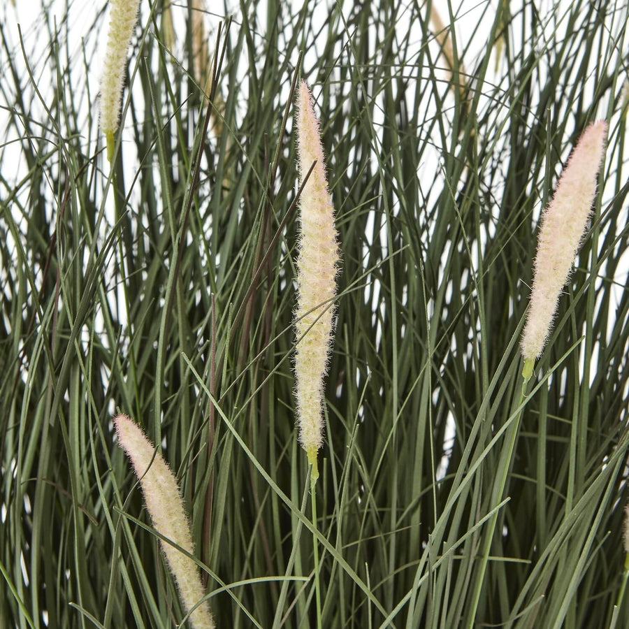 Lifelike faux Fountain Grass in natural green, 81cm tall with feathery plumes, displayed in sleek black pot. by Sostter at brixbailey.com