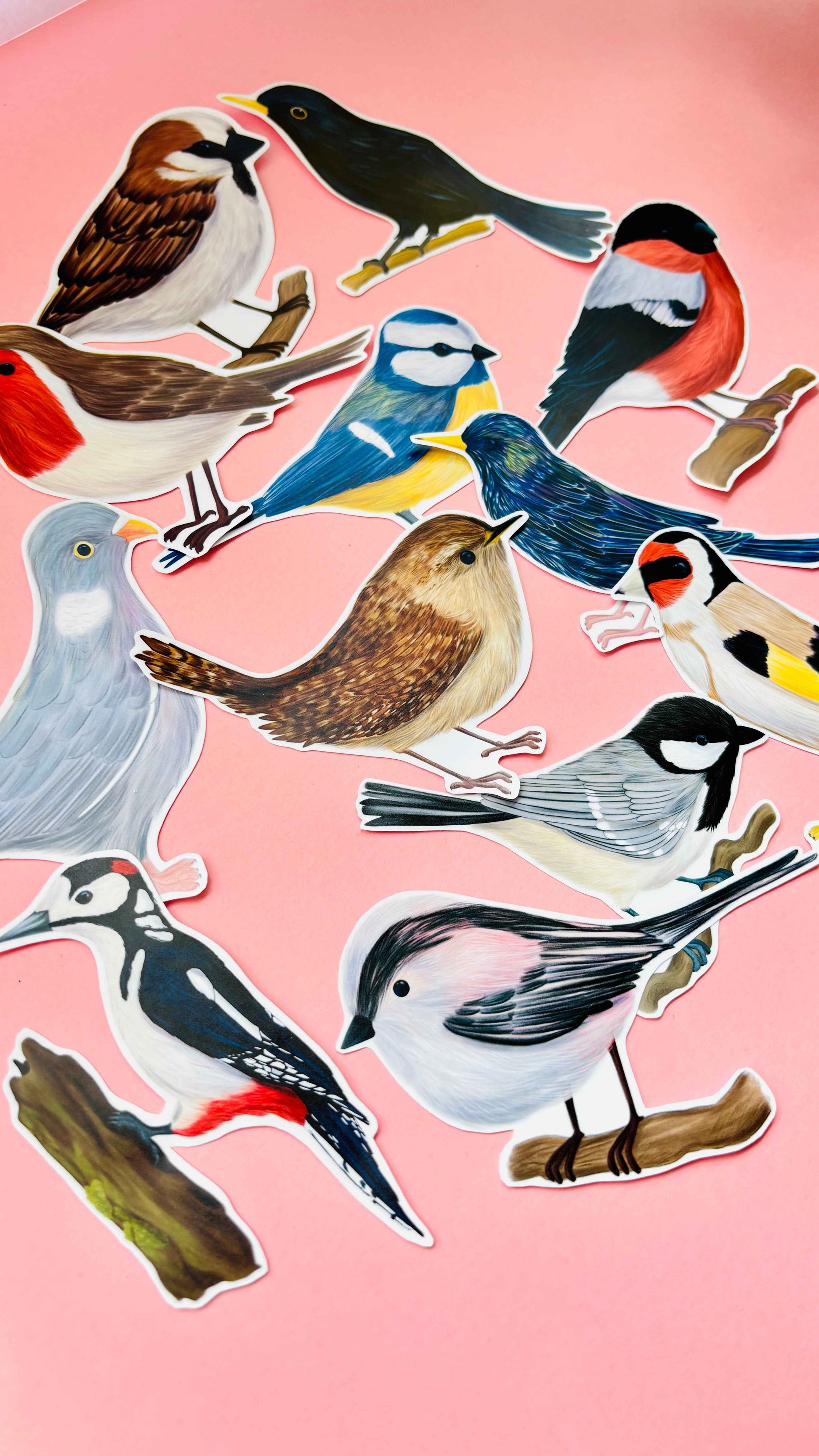 Garden Birds 10cm Vinyl Stickers: Nature Inspired Waterproof Decals
