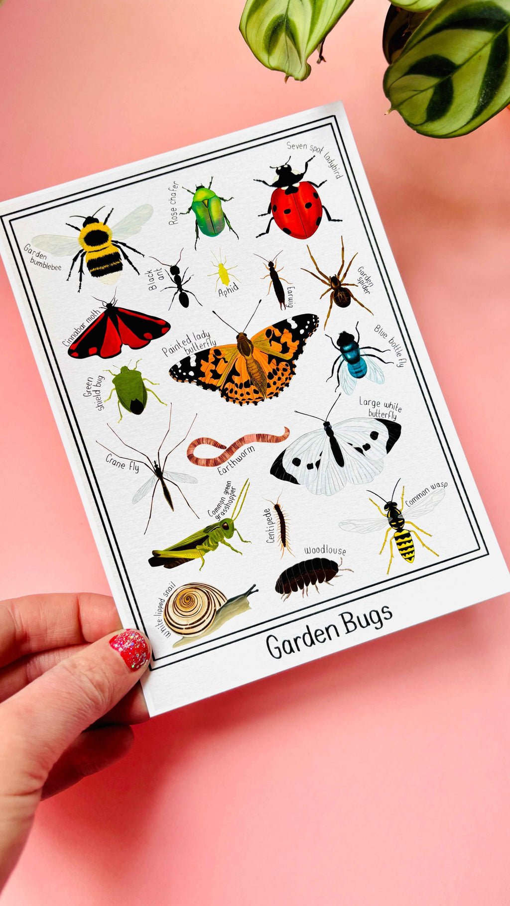 Garden Bug Wall Art Print: Nature Inspired Educational Prints