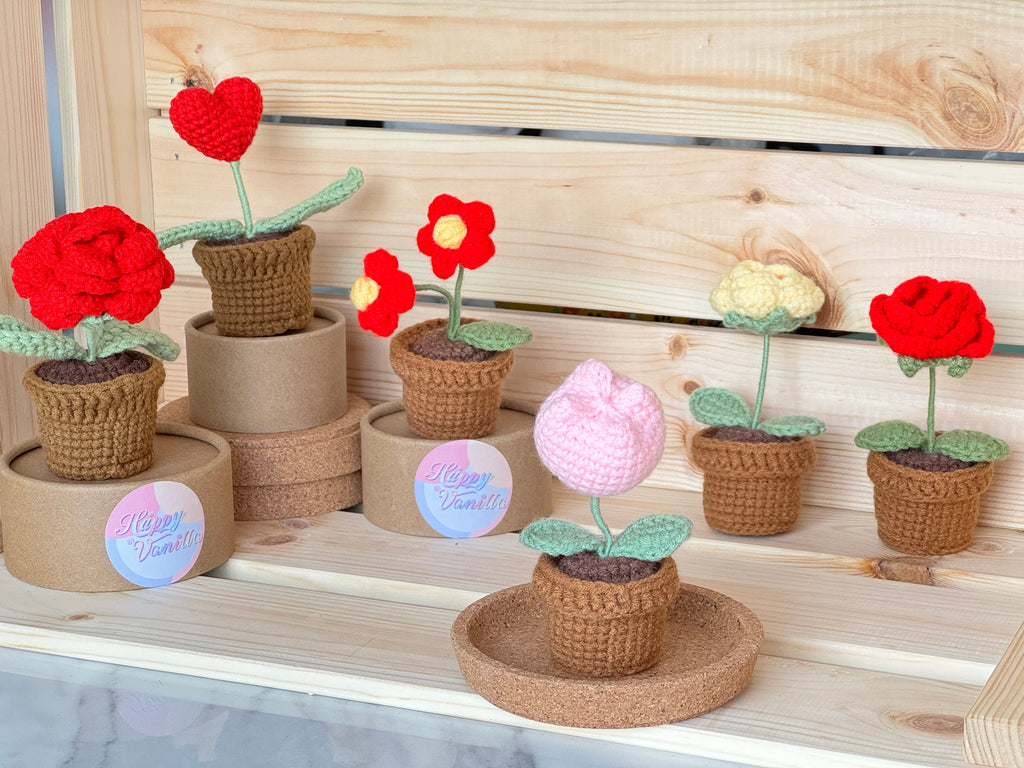 Flower Pots Collection – Everlasting Blooms
