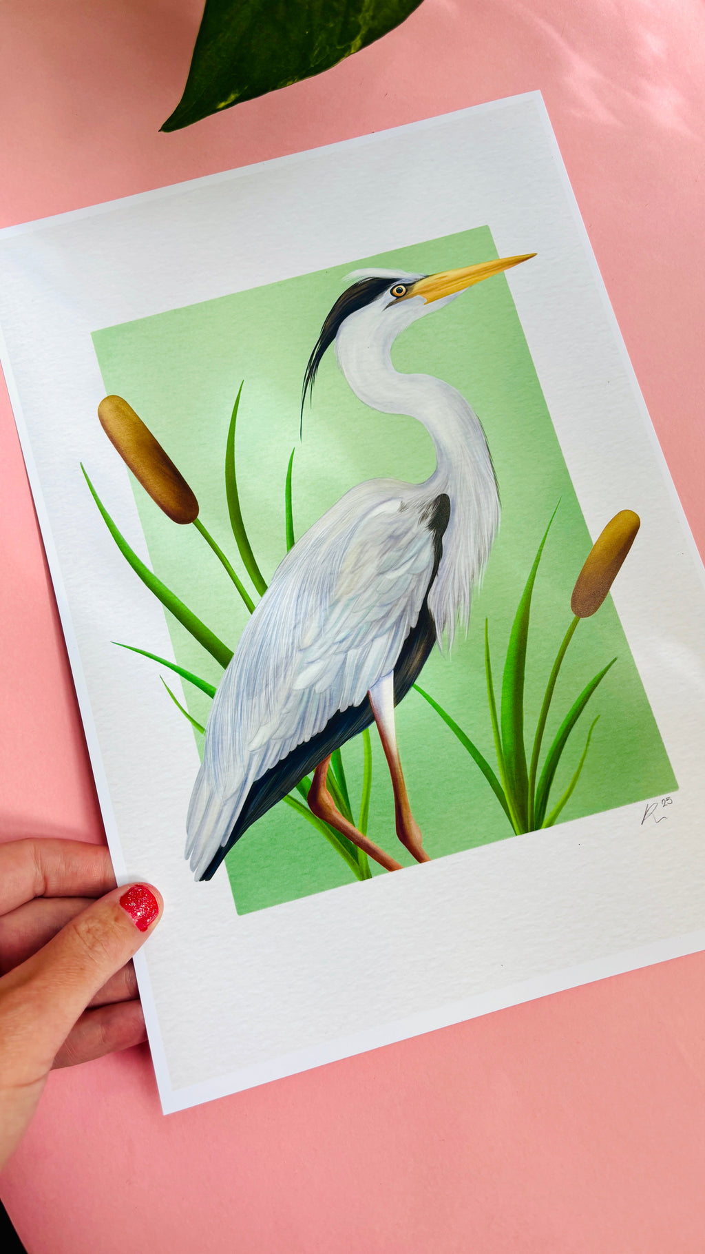 Grey Heron Wildlife Art Print –Wall Art for Nature Lovers  in Multiple Sizes