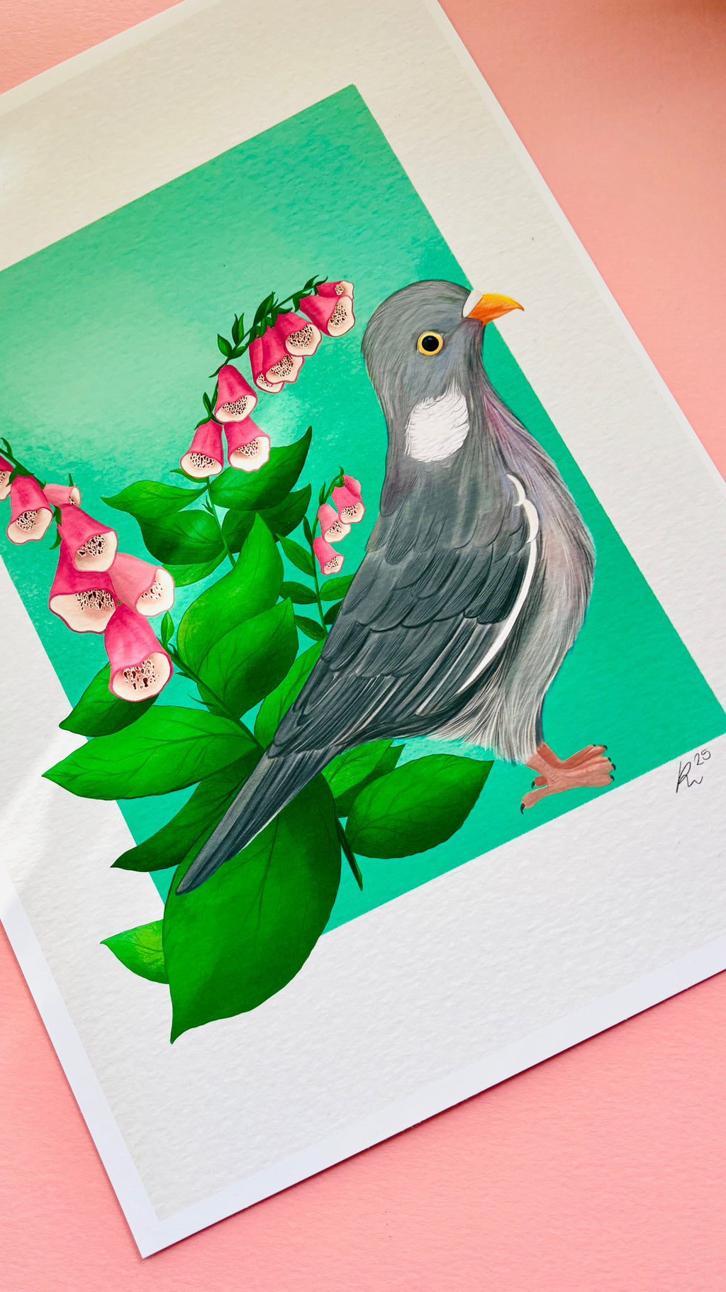 Wood Pigeon Art Print- British Wildlife Illustration