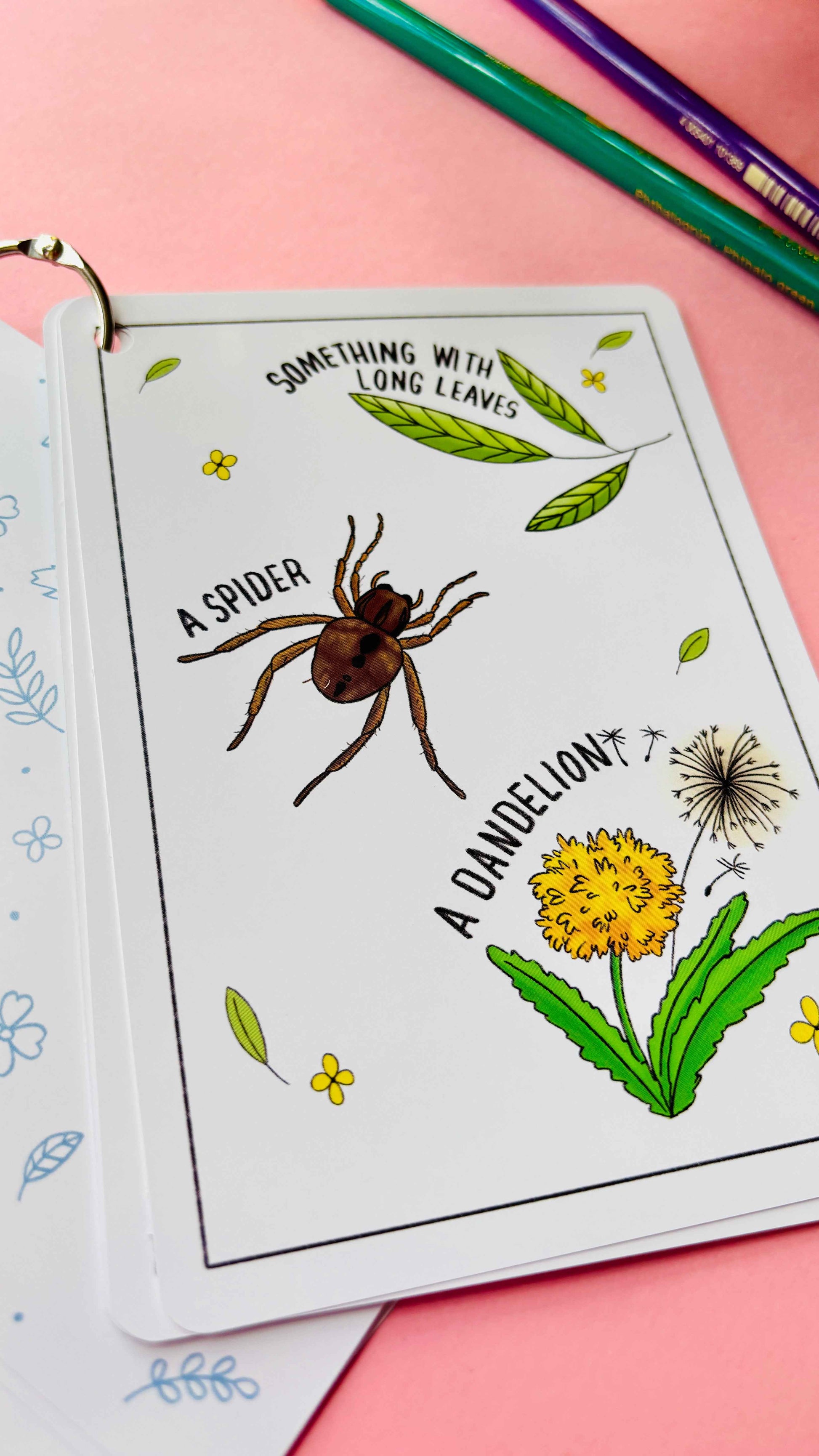 Nature Explorer Scavenger Hunt Cards- Illustrated Educational Activity Cards for Kids