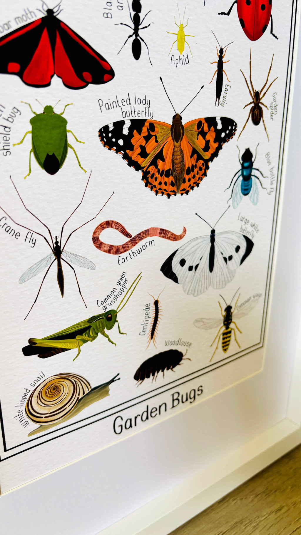 Garden Bug Wall Art Print: Nature Inspired Educational Prints