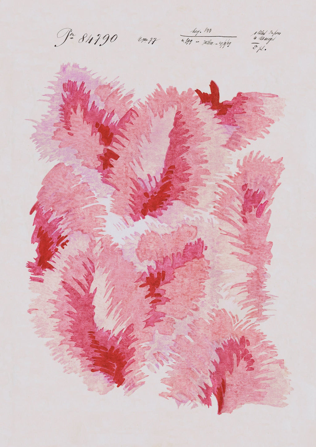 No.032 - Venus Plumes - Vintage Archive Poster Prints