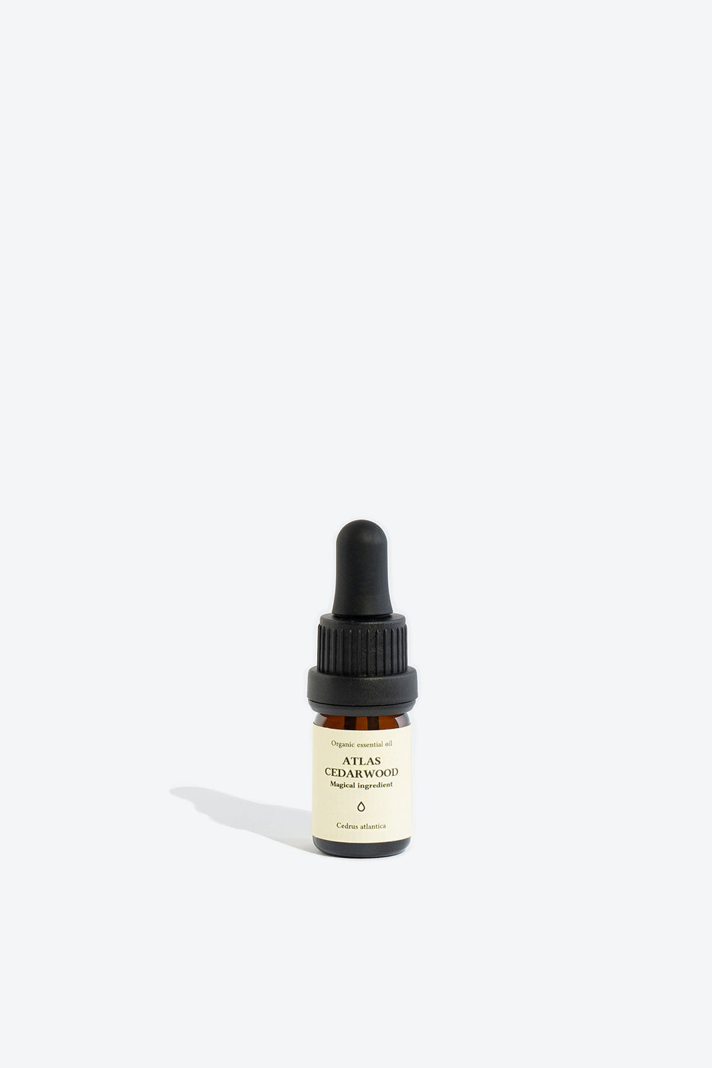 Cedrus Atlantica Essential Oil – Unlock Calm & Confidence by Smells Like Spells at www.brixbailey.com