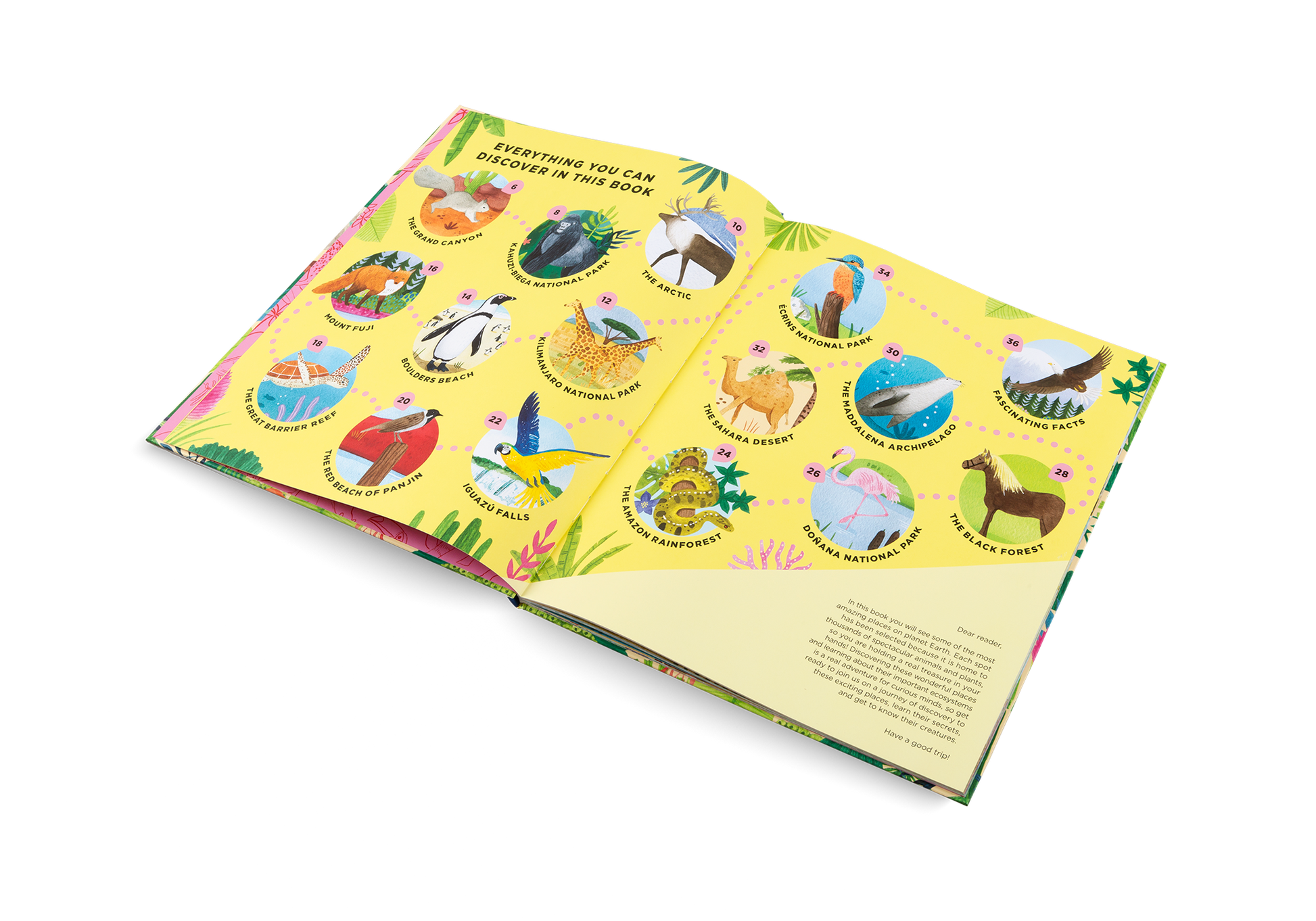 Animal Habitats Around the World