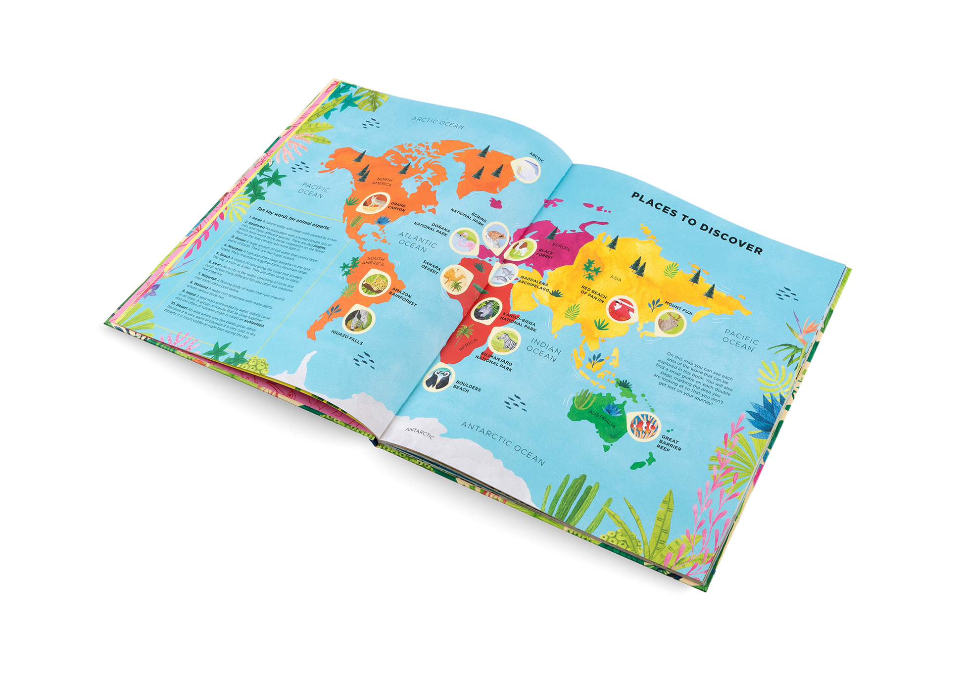 Animal Habitats Around the World