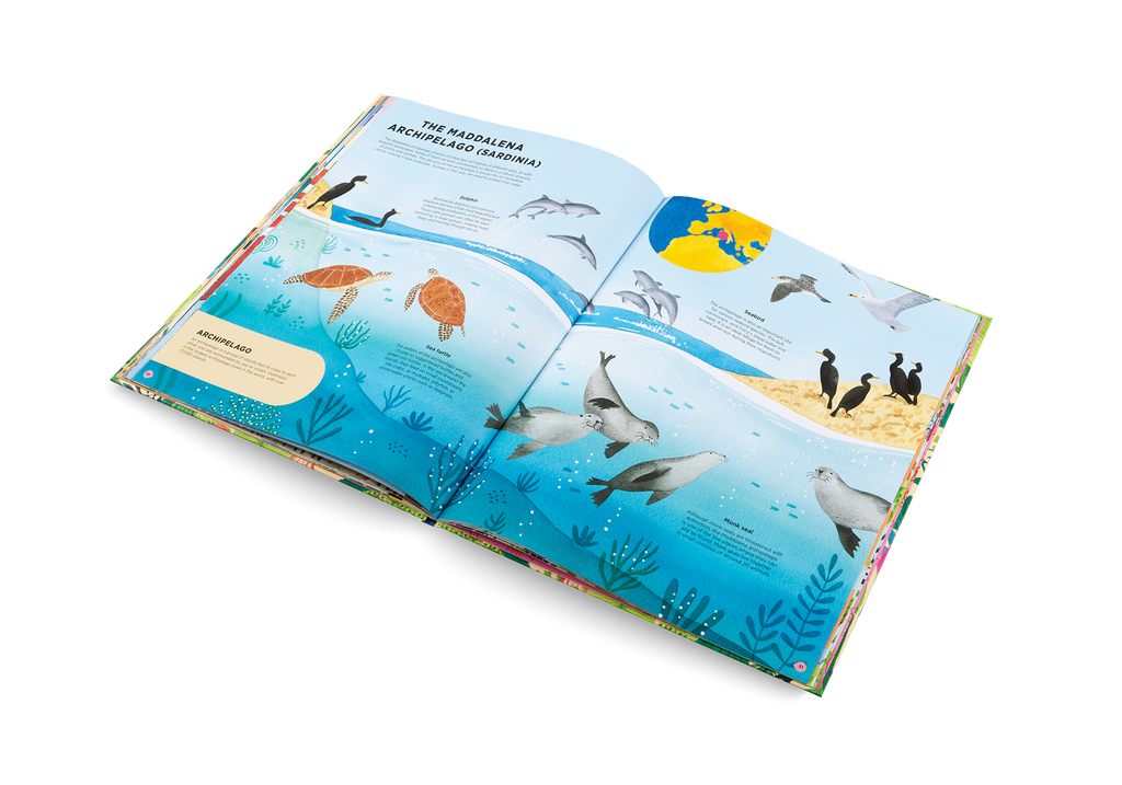 Animal Habitats Around the World