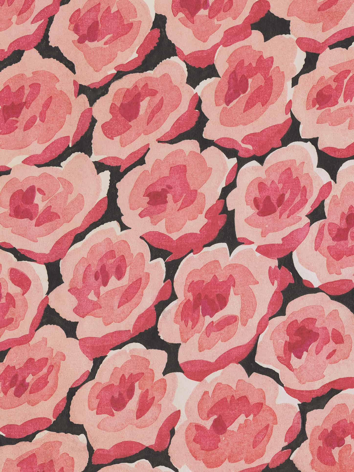 No.006 -  Baby Rose - Vintage Archive Poster Prints