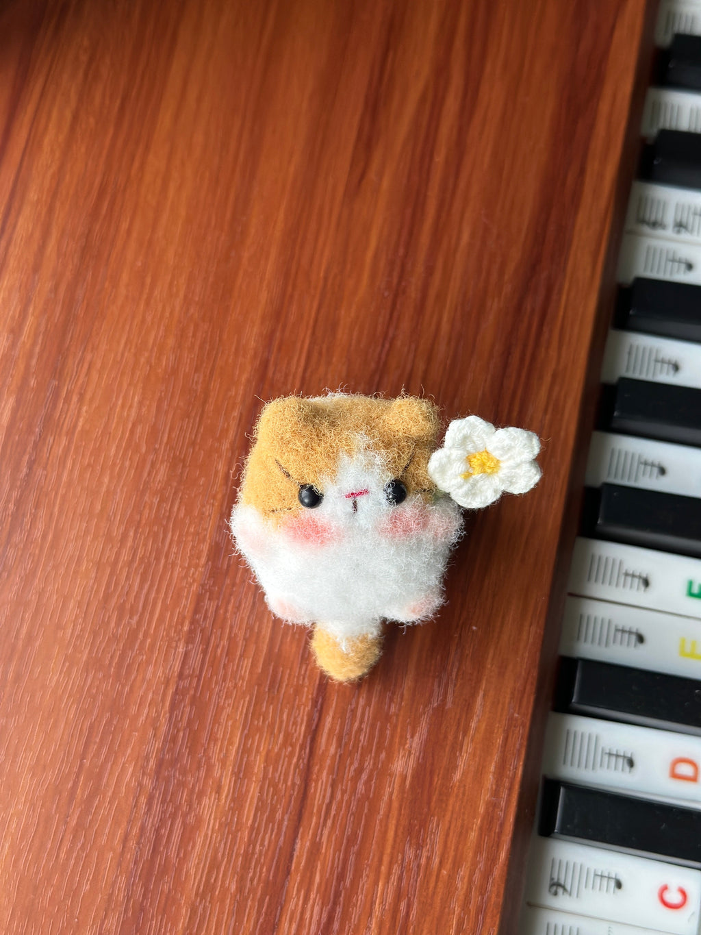 Little Square Cute Kitten Collection