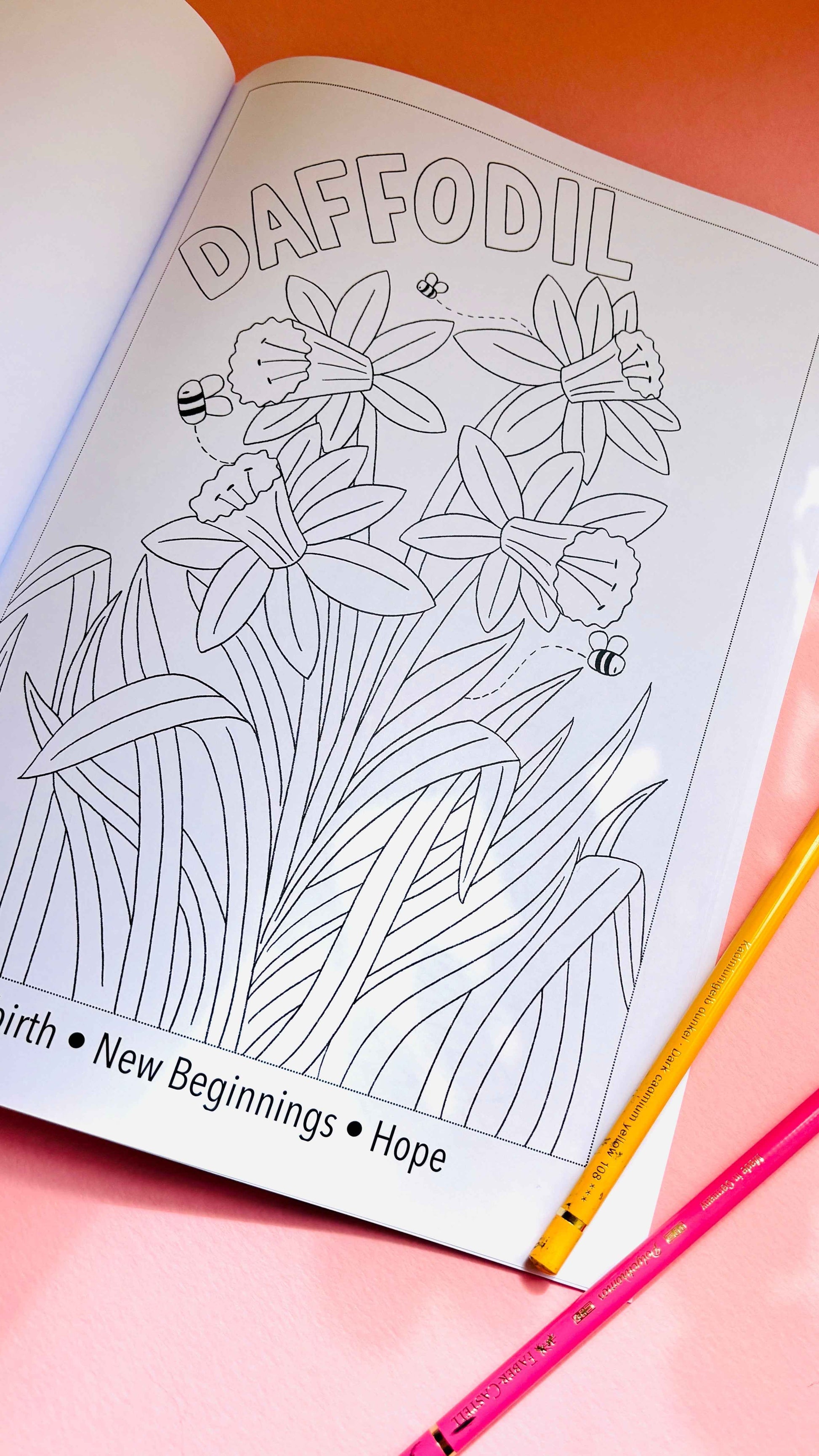 Blooming Lovely: The language of flowers colouring book for adults