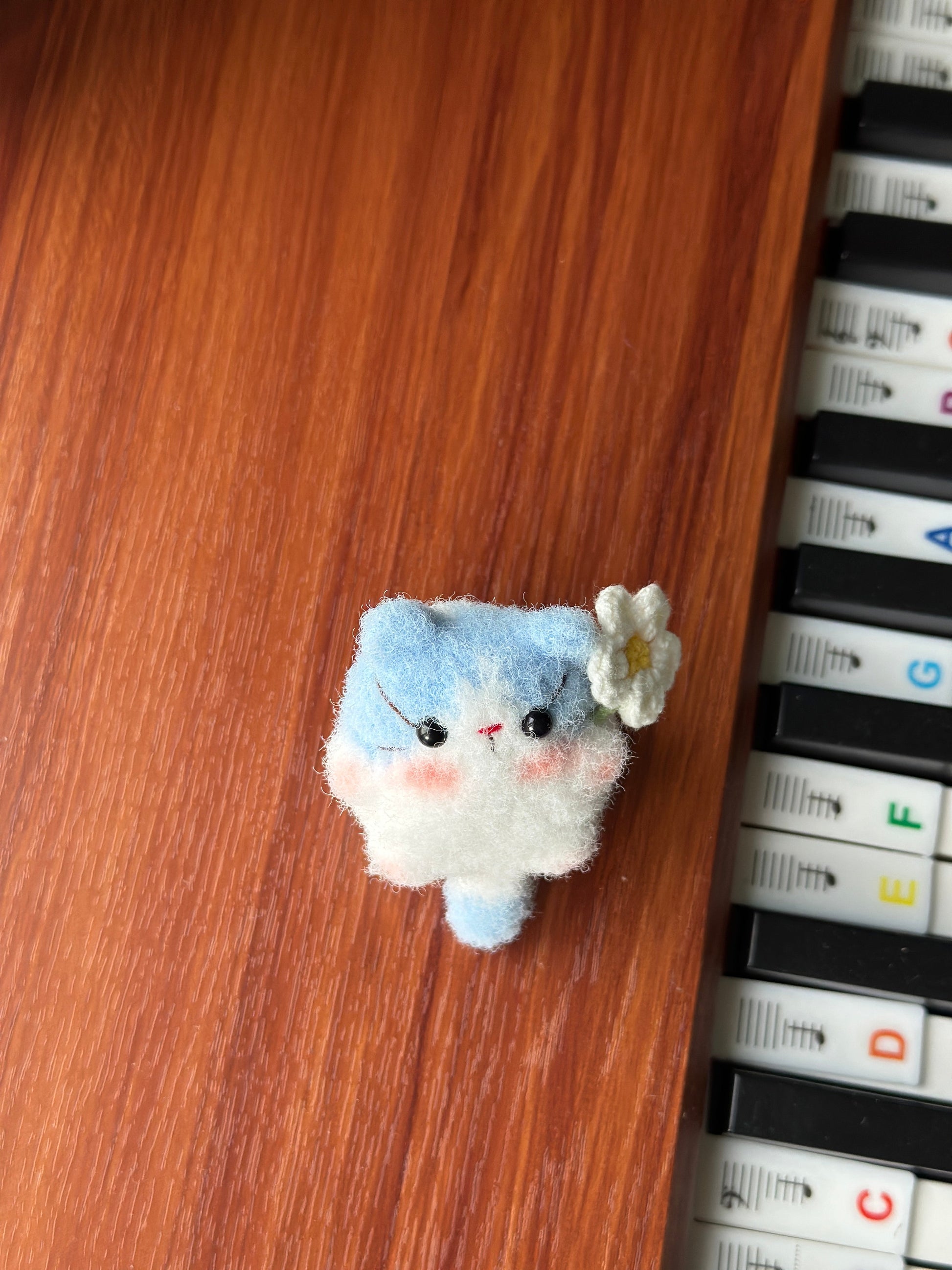 Little Square Cute Kitten Collection