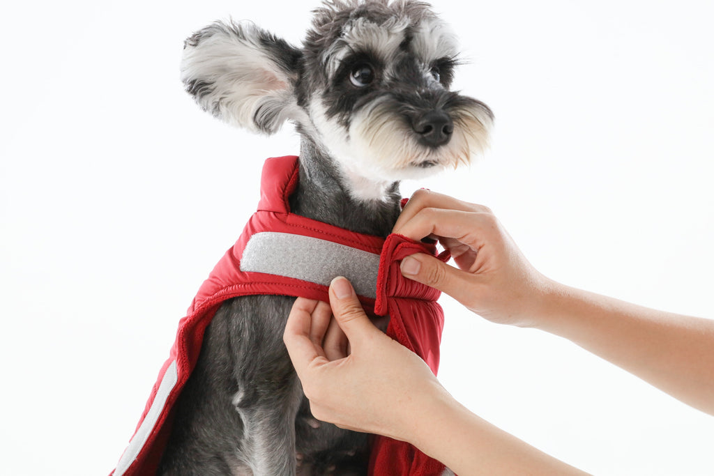 Reversible Dog Vest Jacket in Red