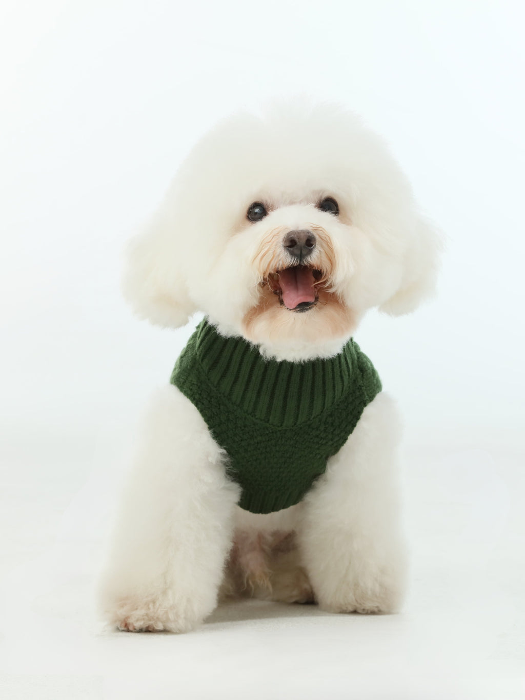 Green Pet Sweater Vest for Dogs and Cats