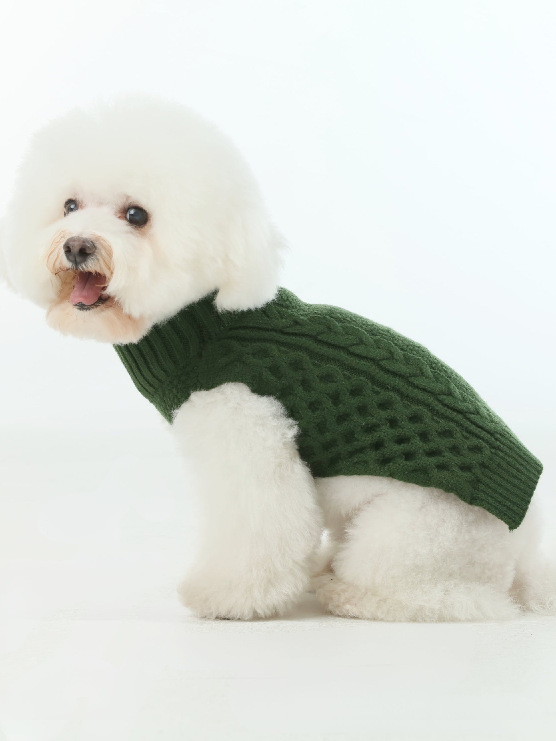 Green Pet Sweater Vest for Dogs and Cats