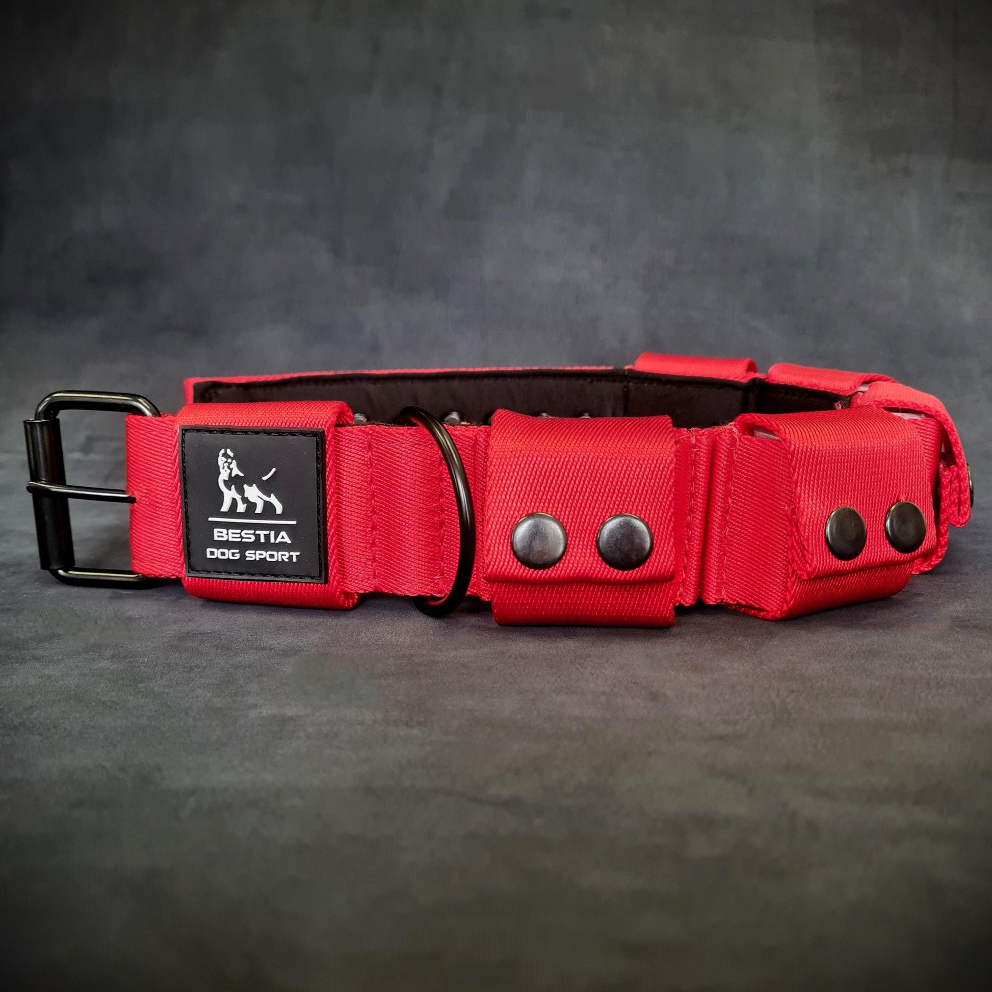 Red Weighted Dog Training Collar for Large Breeds Removable Weights