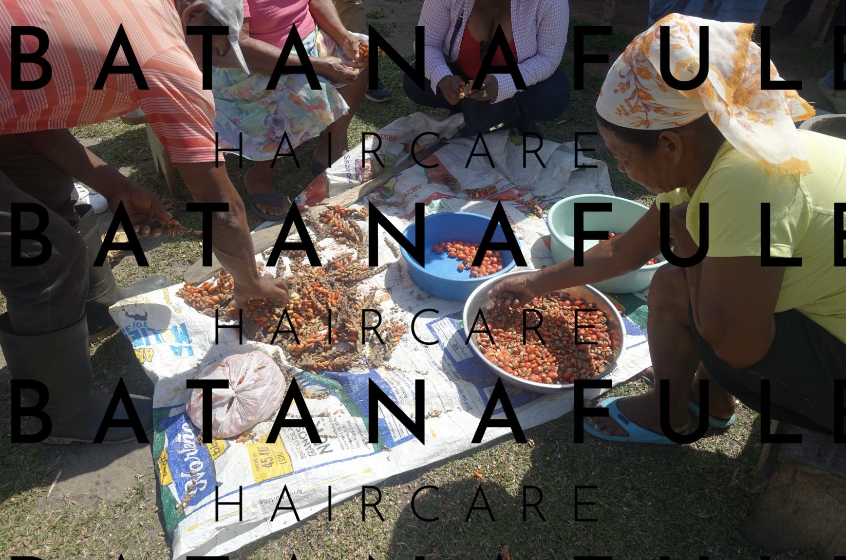 Pure Batana Oil  #1 Authentic Hair Growth & Repair Oil from Honduras