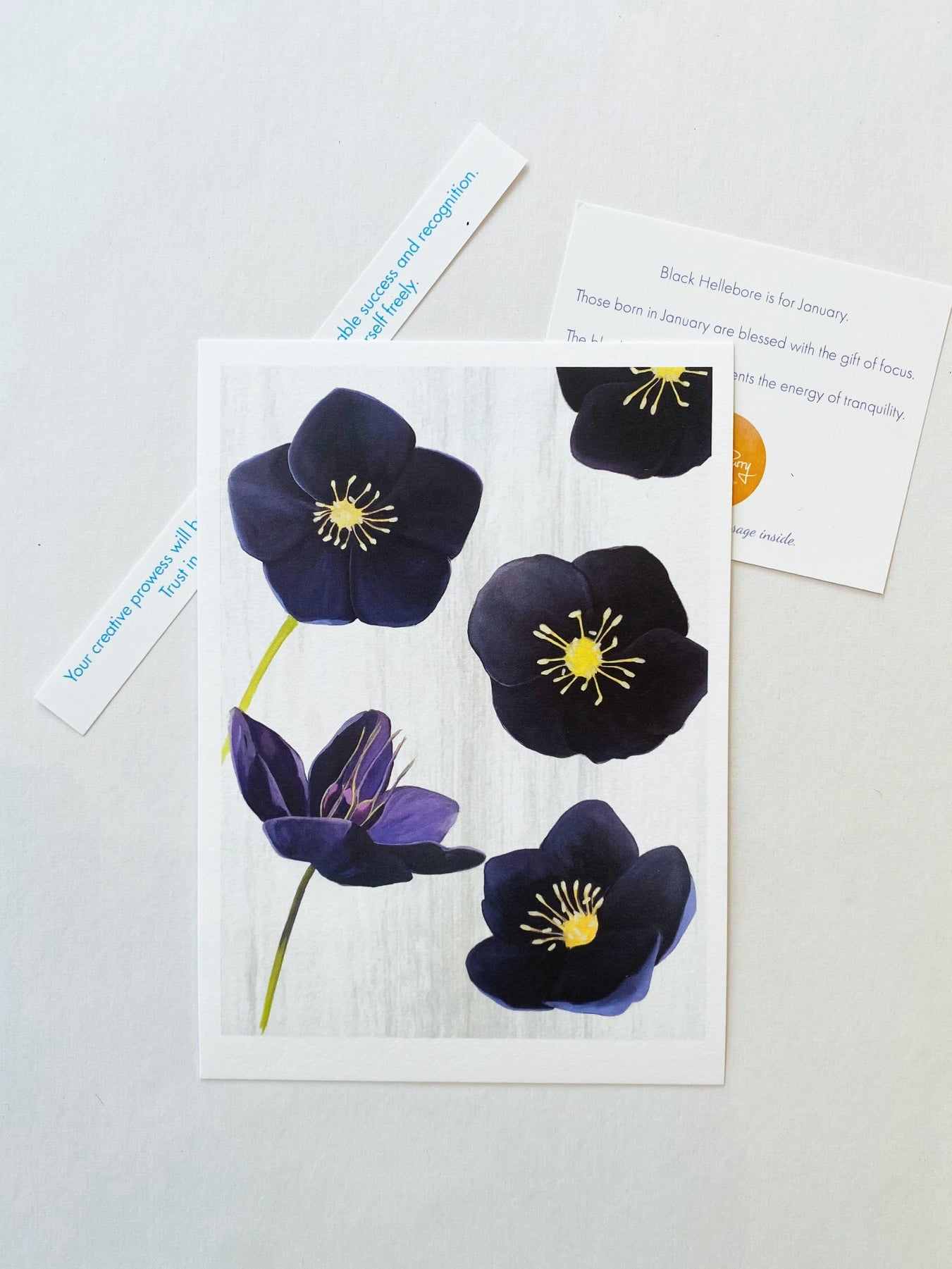 January Black Hellebore Mini Art Print