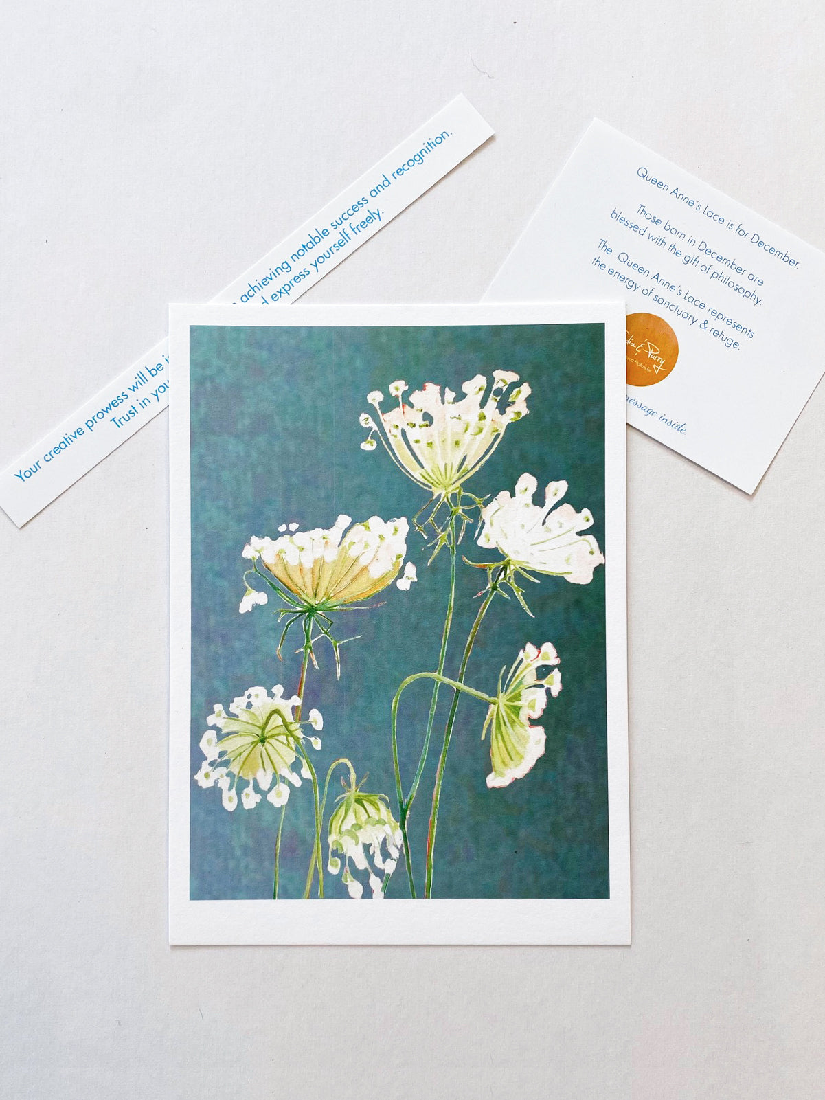 December Queen Anne's Lace Mini Art Print