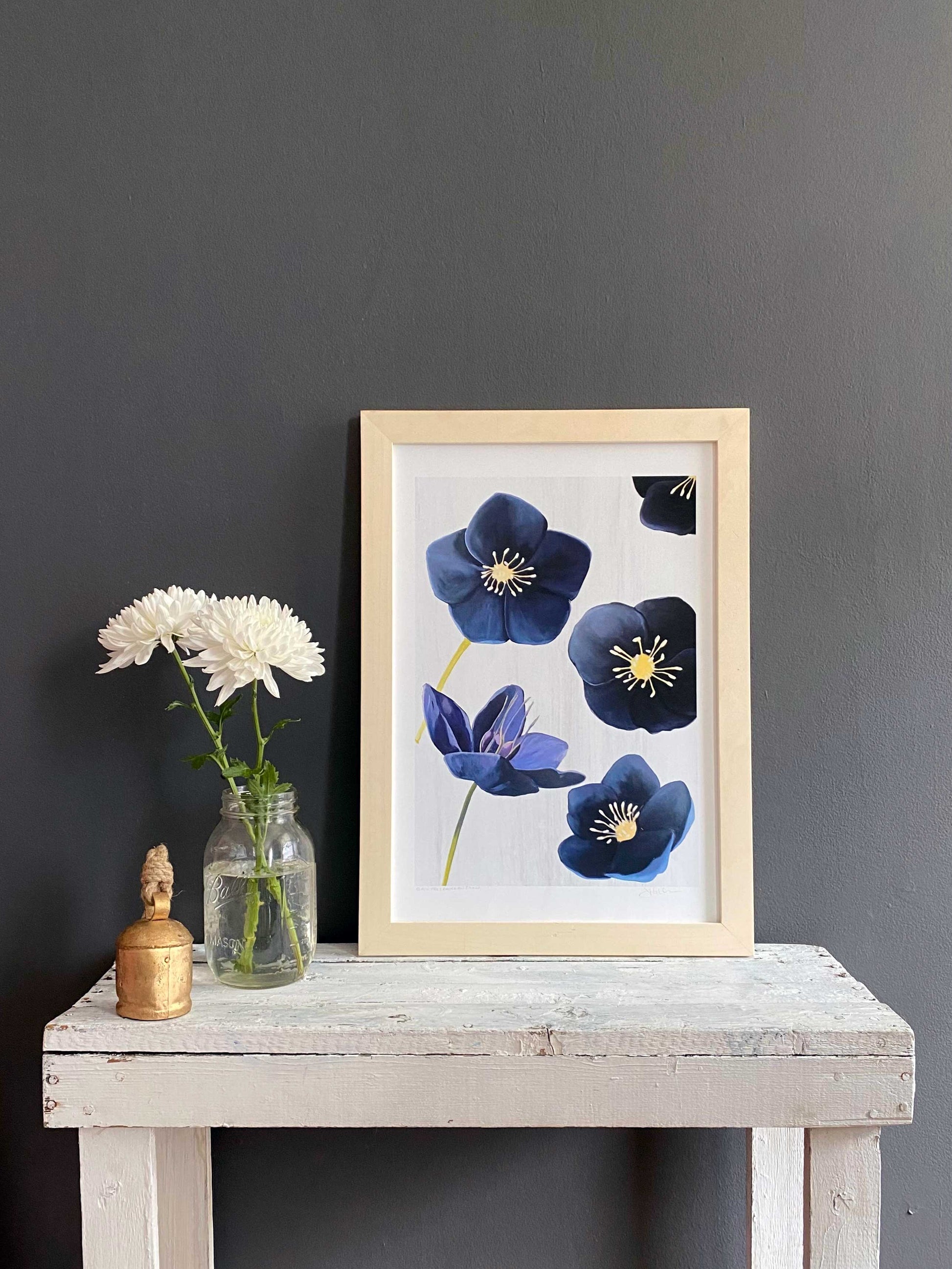 Black Hellebore on Snow Art Print