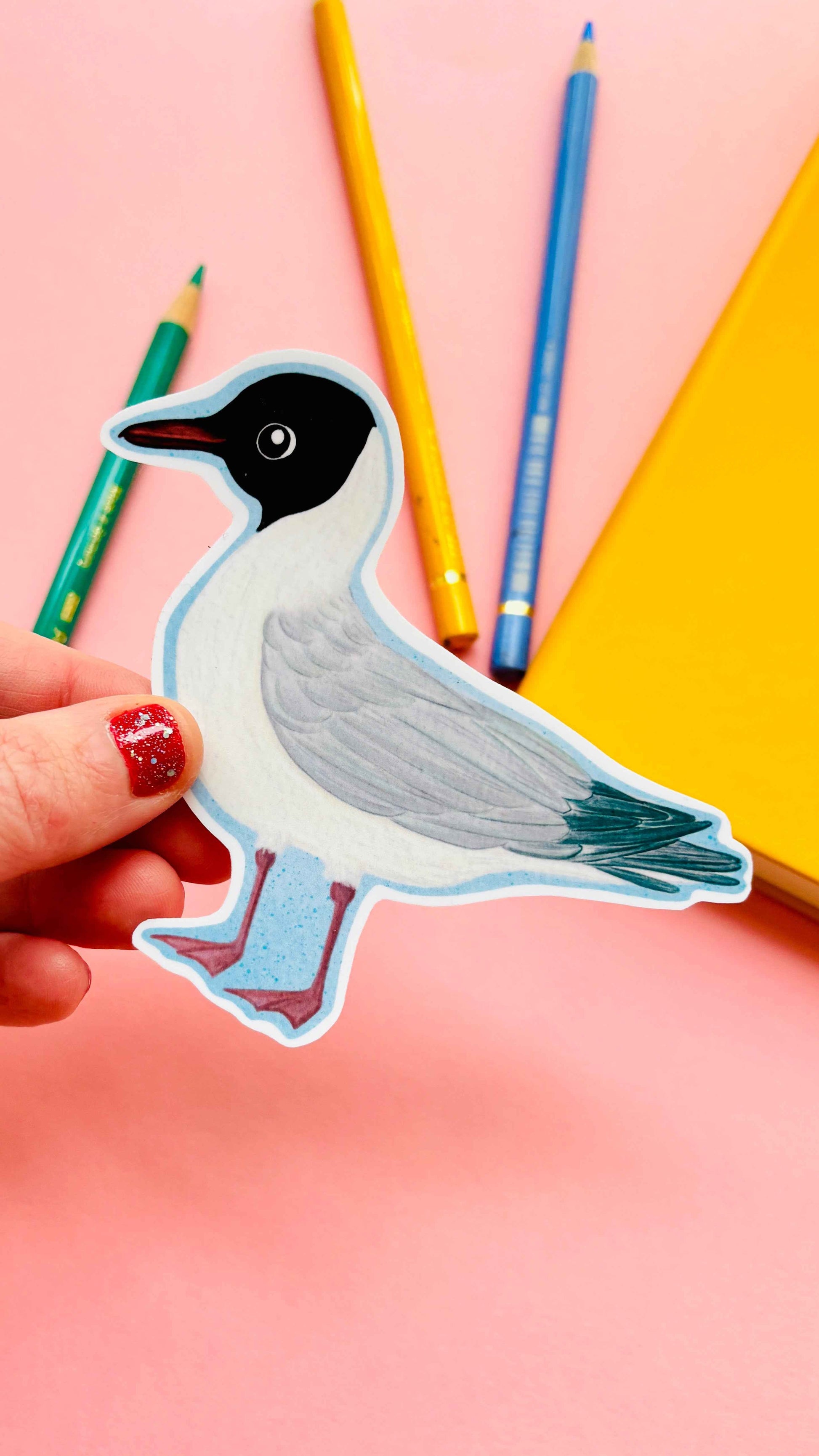 Birbfest 2025 Illustrated Birds 10cm Vinyl Sticker