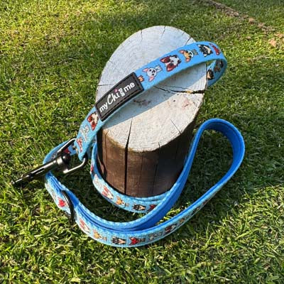 Blue Chihuahua Print Small Dog Lead 1.2m