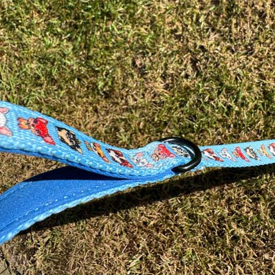Blue Chihuahua Print Small Dog Lead 1.2m