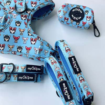 Blue Chihuahua Print Small Dog Lead 1.2m