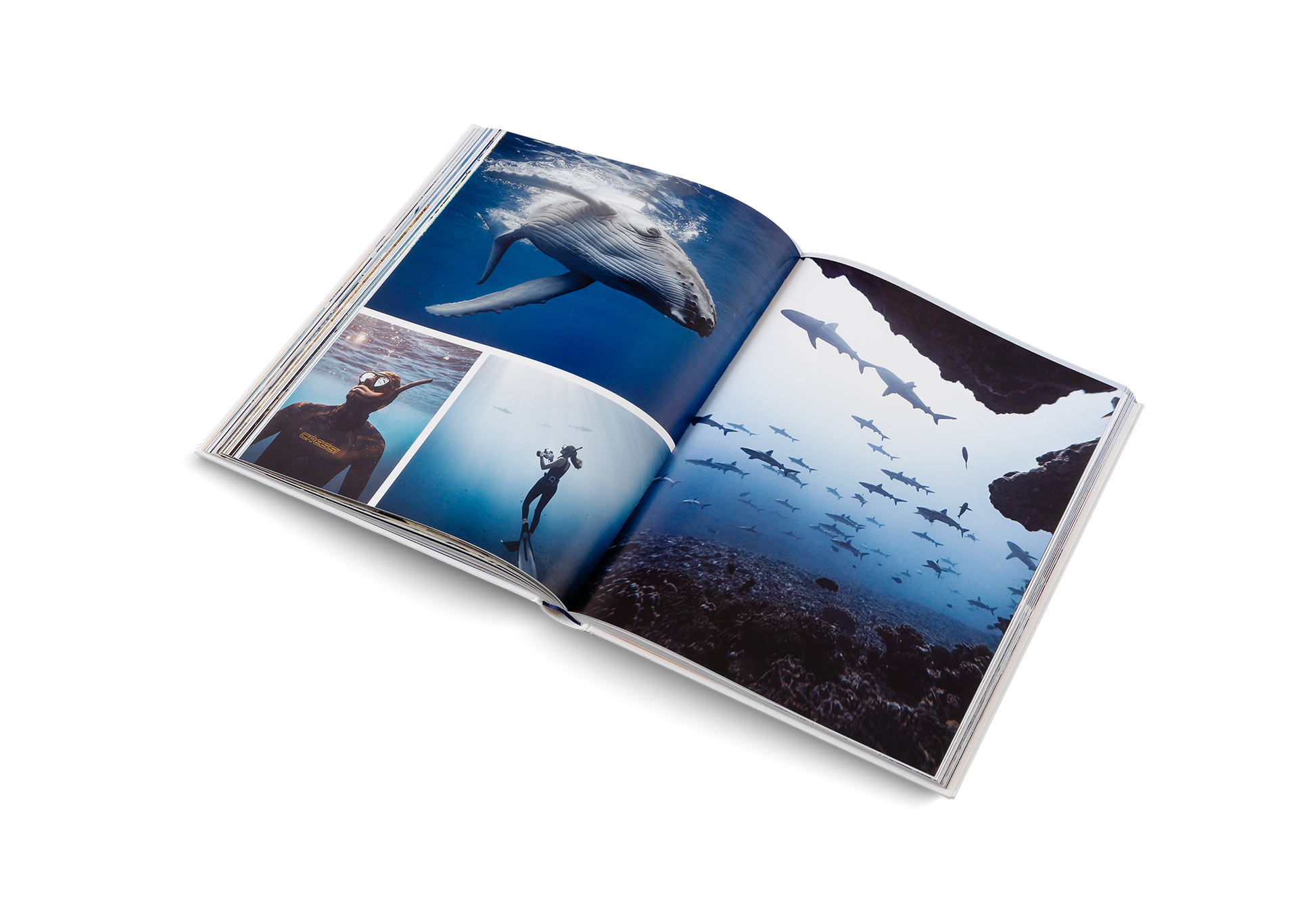 Boatlife Maritime Living Collection