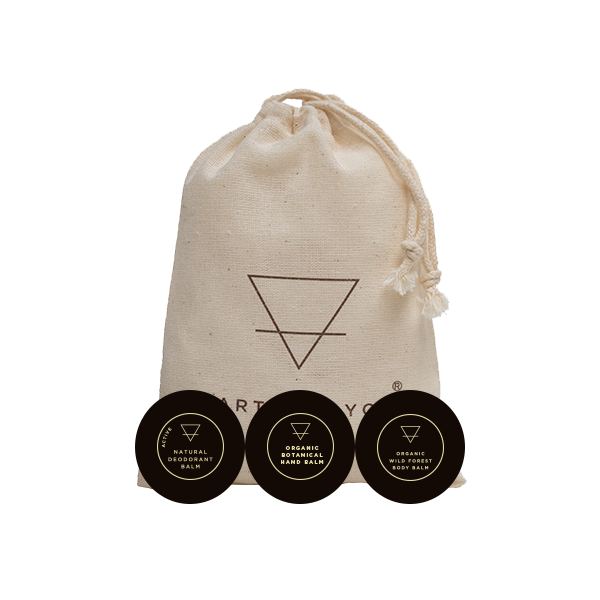 Discovery Set - Body