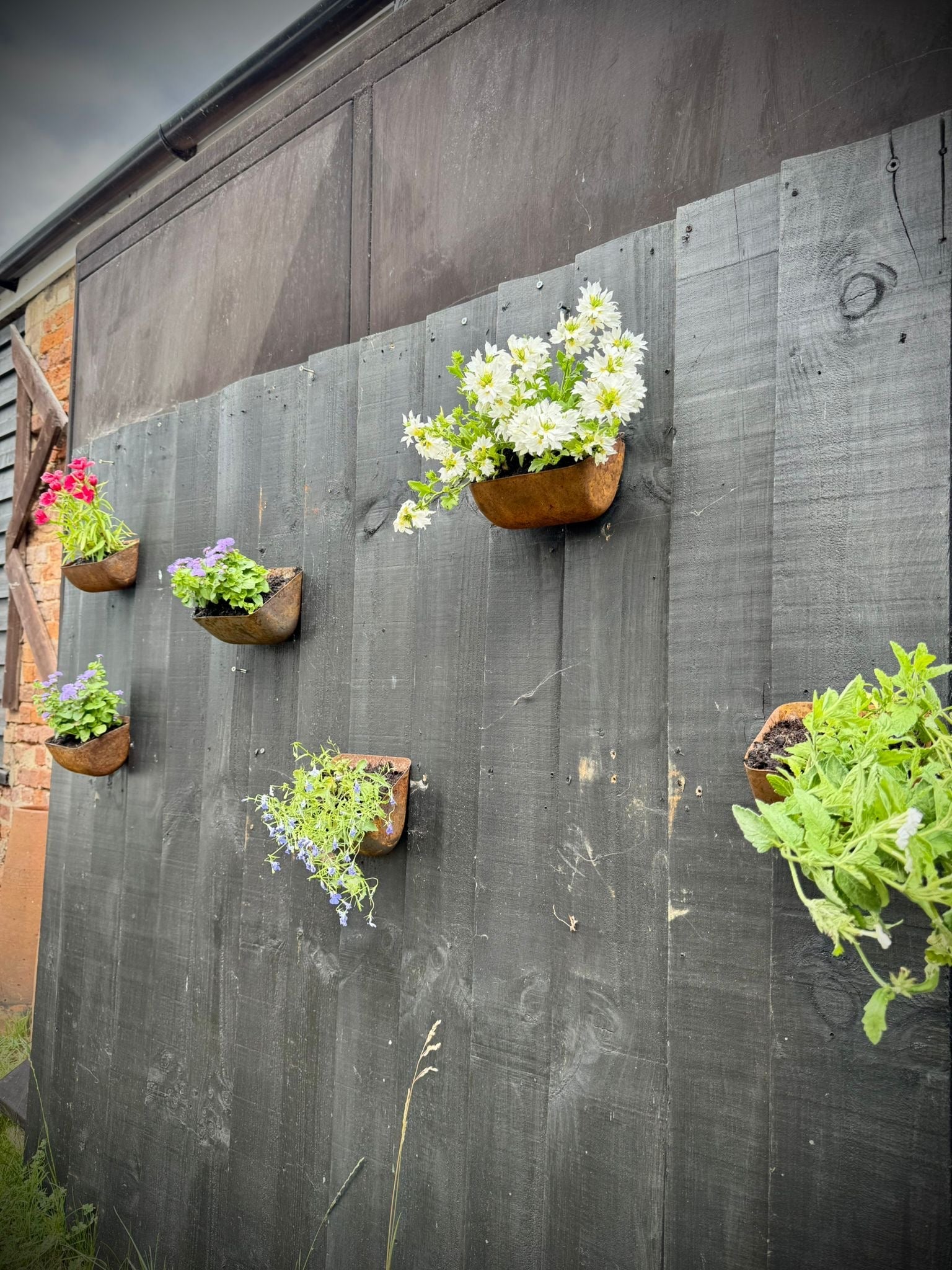 Vintage Rusty Metal Wall Mounted Planter / Herb Planter / Plant Pot Fence Decor