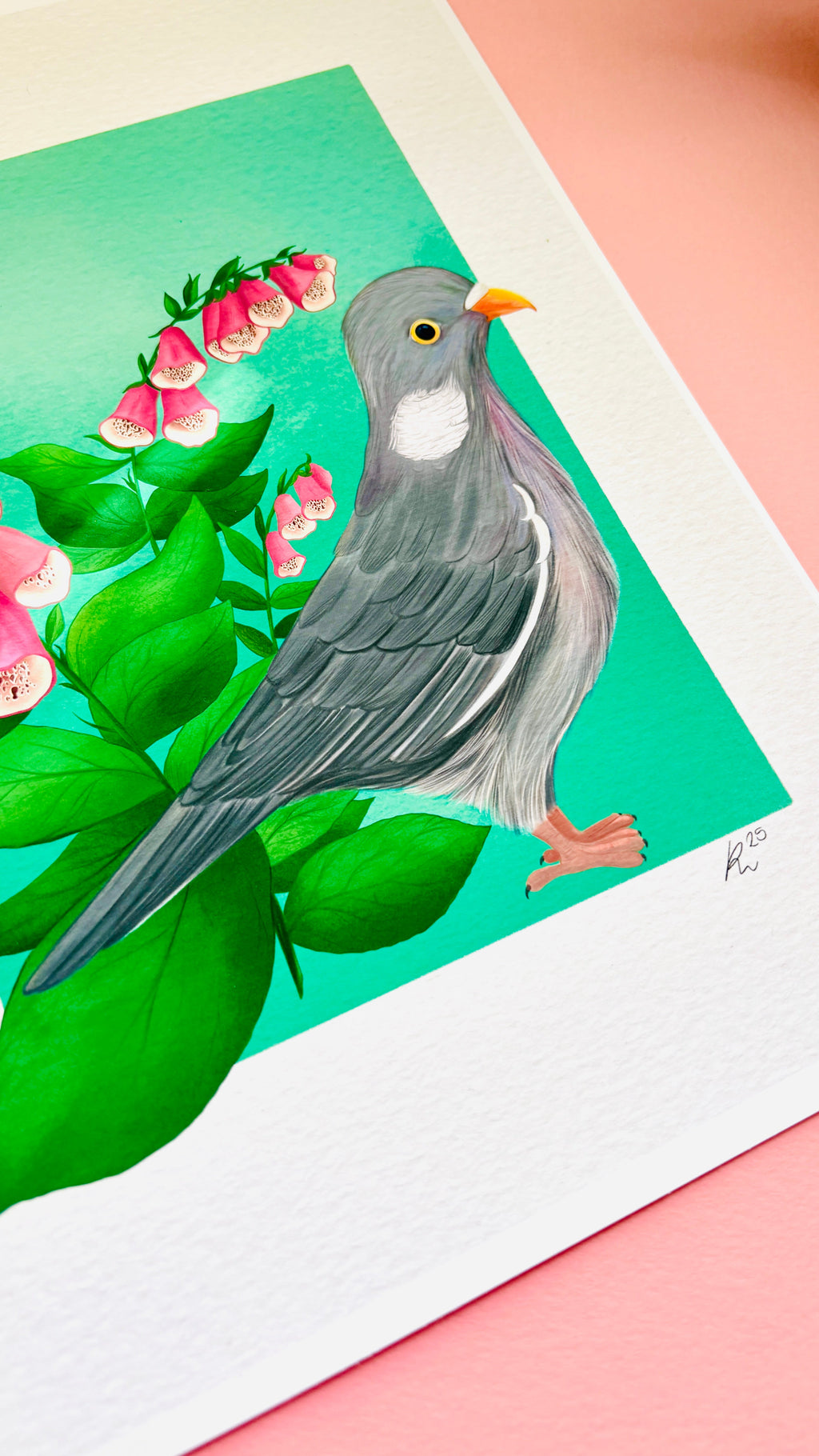 Wood Pigeon Art Print- British Wildlife Illustration