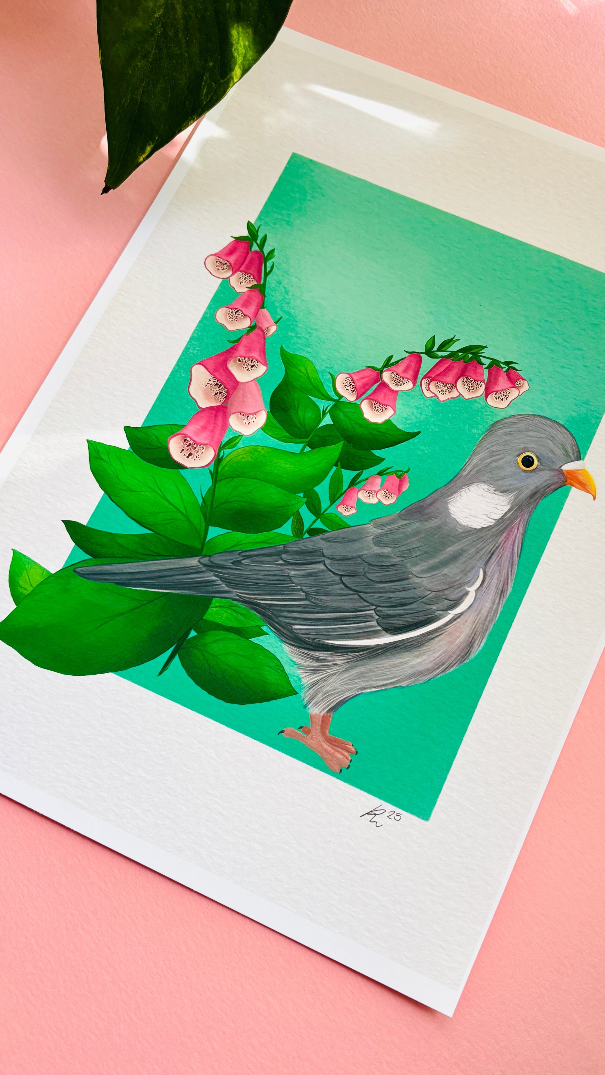 Wood Pigeon Art Print- British Wildlife Illustration