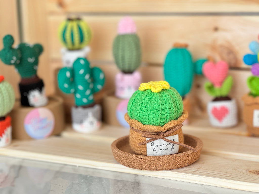 NEW members join Cactus Family!