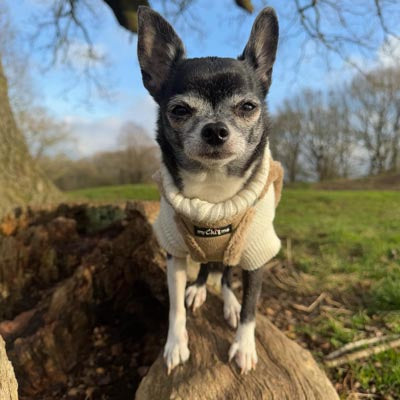 Step In Soft Touch Suede Faux Fur Lined Puppy and Small Dog Harness Caramel