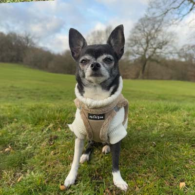 Step In Soft Touch Suede Faux Fur Lined Puppy and Small Dog Harness Caramel
